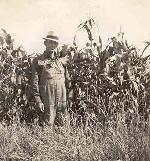 Pop next to cornfield.